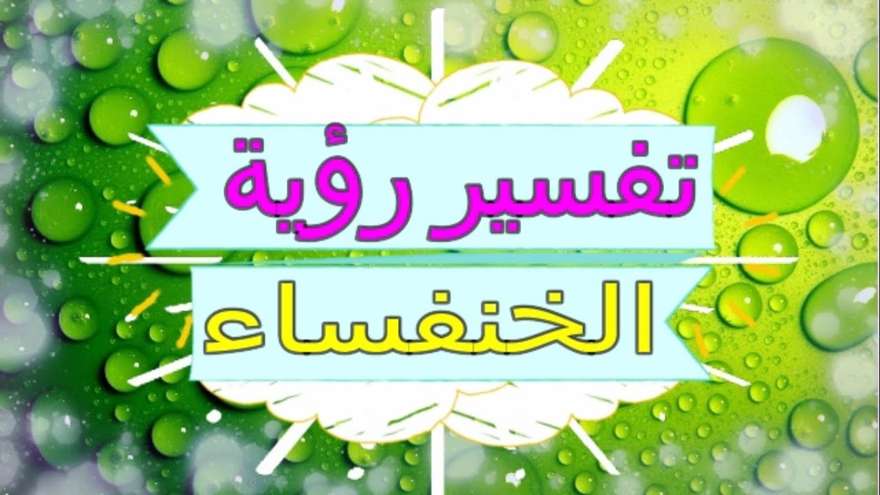 رؤية الخنفساء في المنام - الخنفساء ومفاجاه رؤيتها فى المنام 2544 3