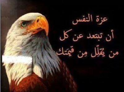 شعر عن الكرامة 6234 8