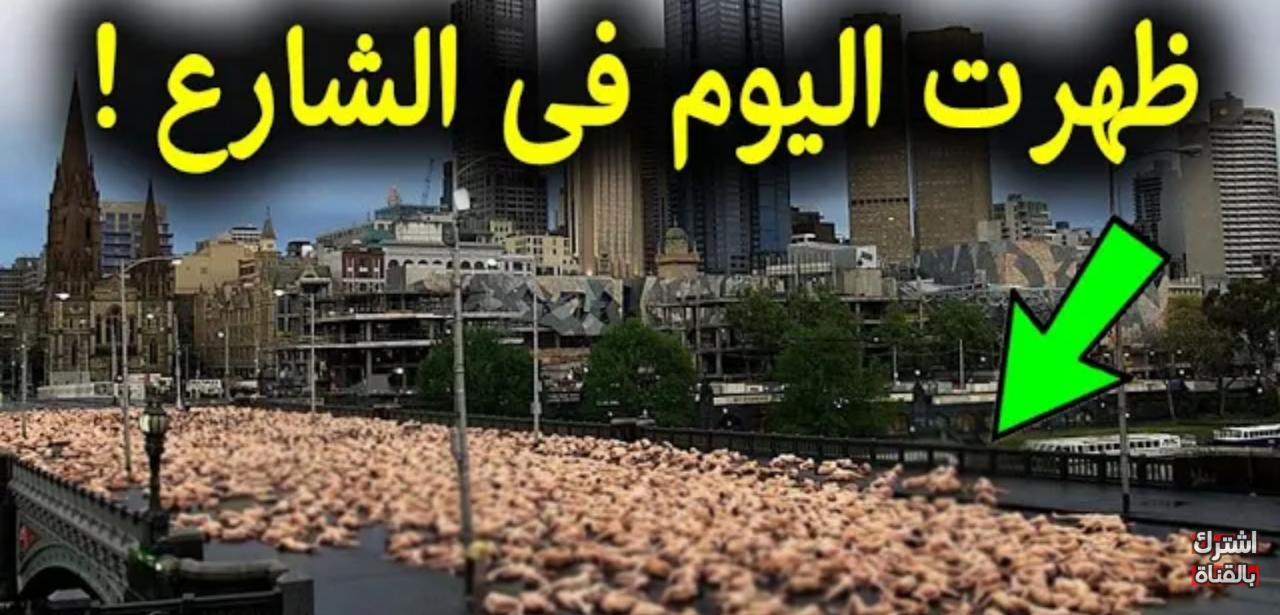 علامات الساعة الكبرى , من اهم علامات الساعه