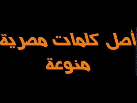 كلمات مصرية - الكلمات الشعبيه اللى بنستخدمها يوميا 39555 1