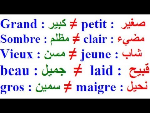 كلمات فرنسية جميلة-افضل المصطلحات الفرنسيه 4027 5