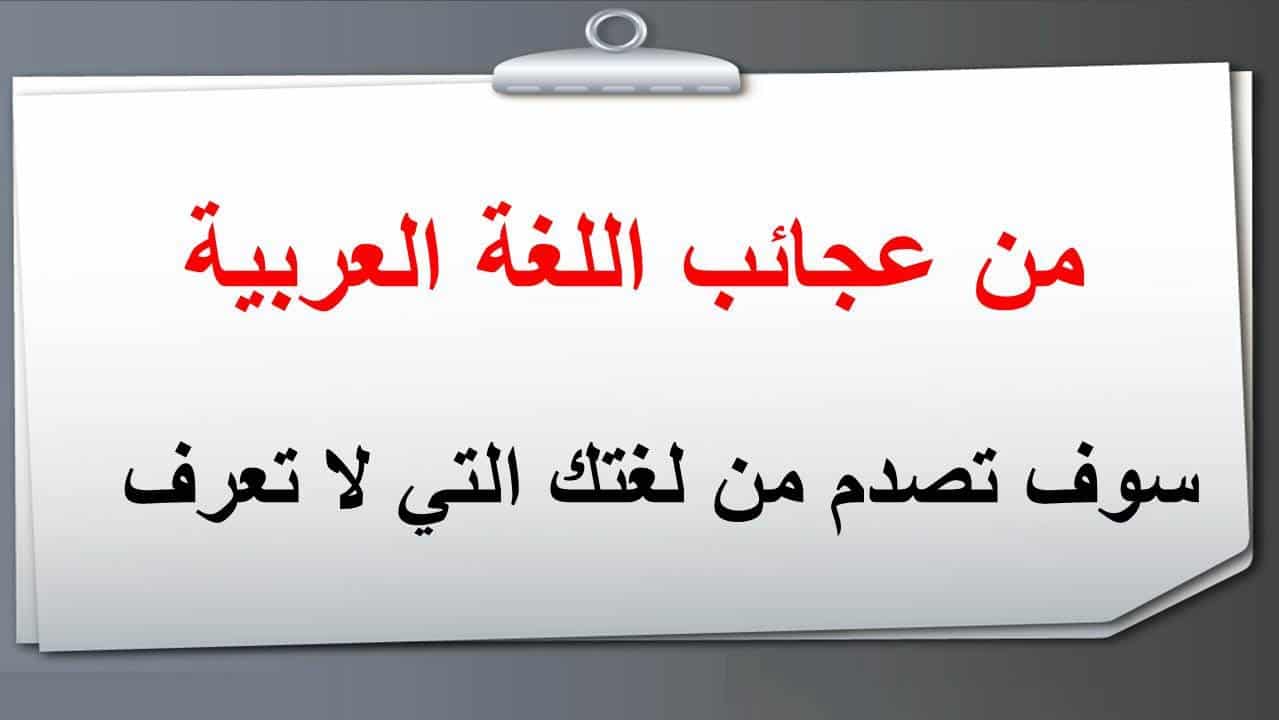 اجمل ما قيل في اللغة العربية - كلام جميل عن اللغة العربية 6377 3