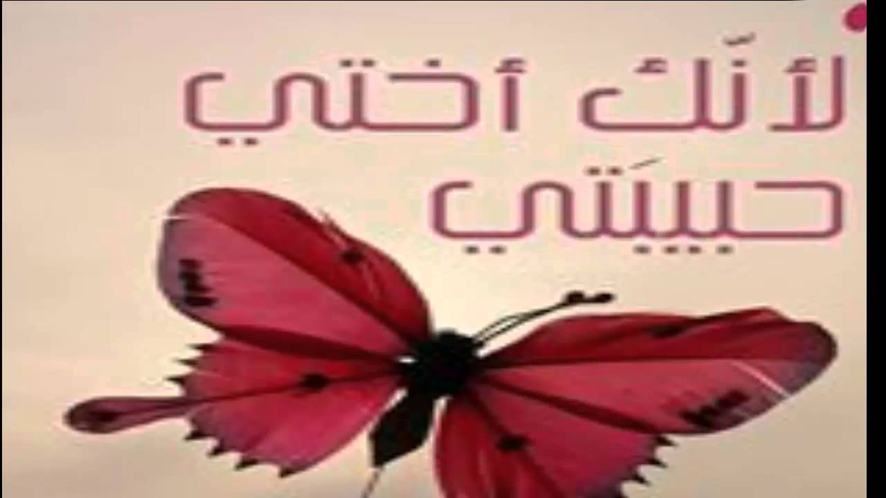 صور عن اختي - الاخوه واجمل الصور مع اختى 2410 11