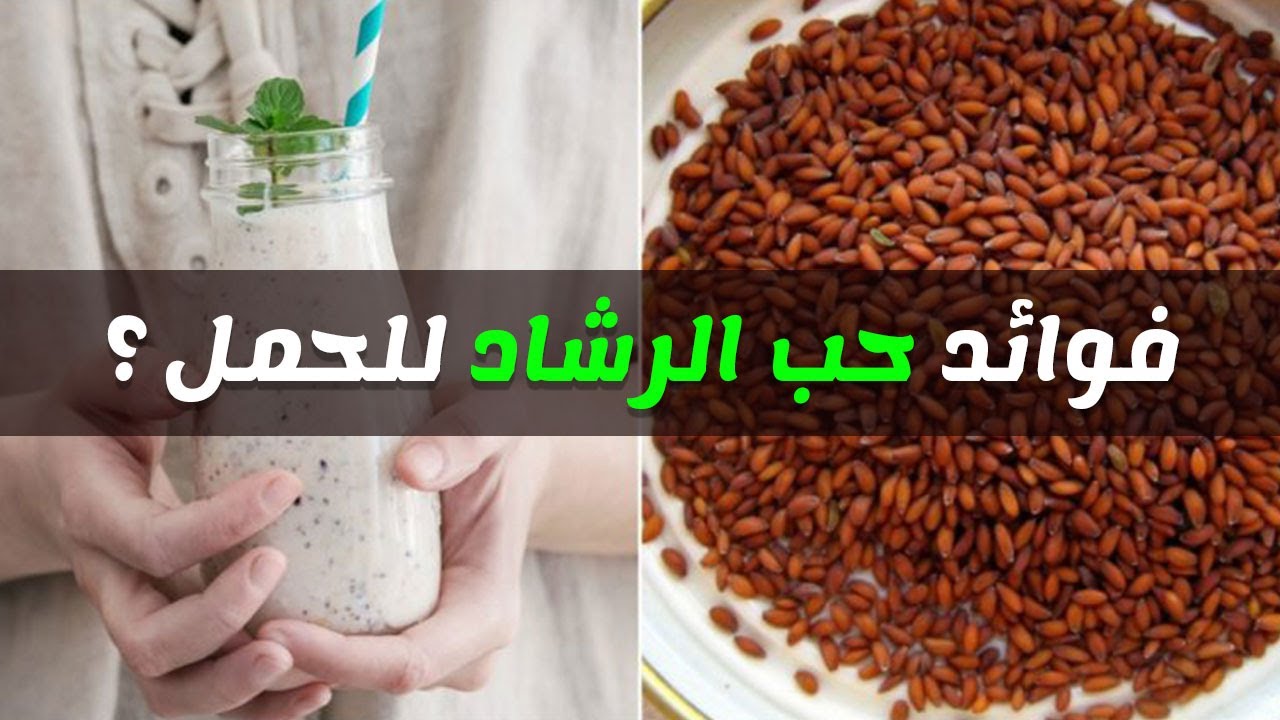 حب الرشاد للحمل , كوني ام بتلك الوصفة المذهلة