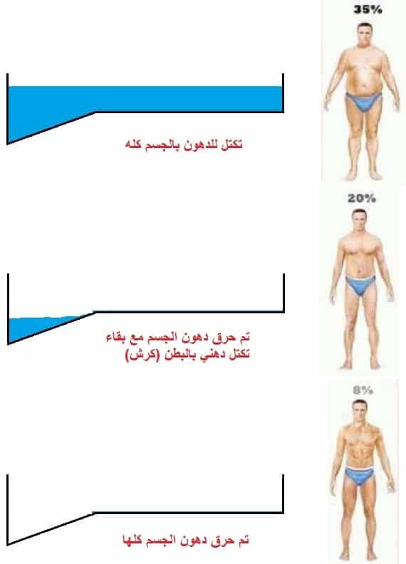 تمارين لحرق دهون البطن والصدر , اذا كنتوا تريدون الحصول علي قوام مثالي اتبعوا تلك التمارين