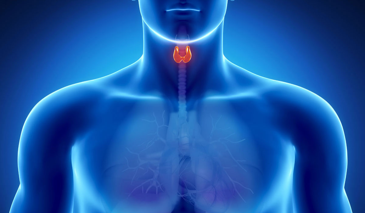 اعراض ارتفاع هرمون الغدة الدرقية Tsh - اشياء تنبهك بوجود خلل فى الغده الدرقيه 2473 1
