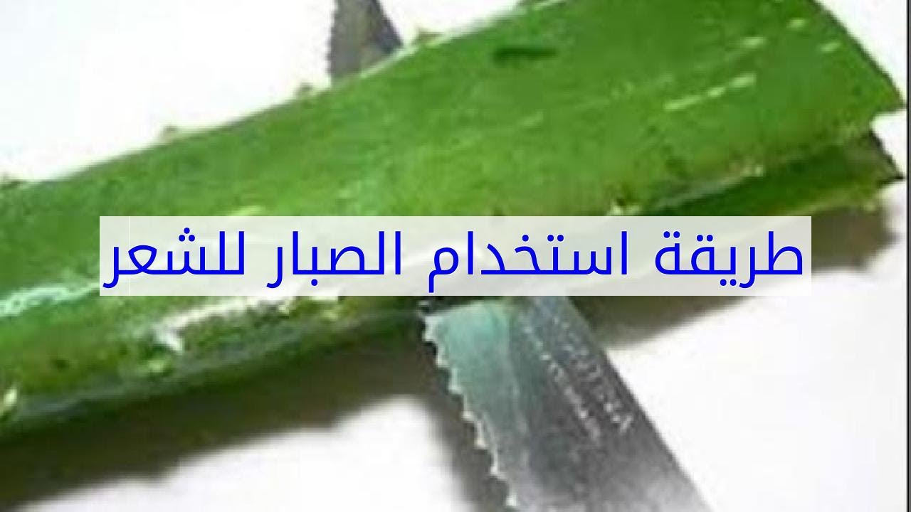 كيفية استخدام الصبار للشعر 6147 3