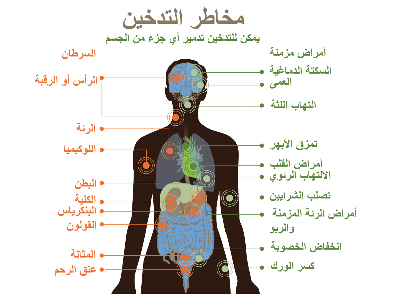 عبارات عن الصحة - اجمل كلمات ومعاني عن الصحة 6444