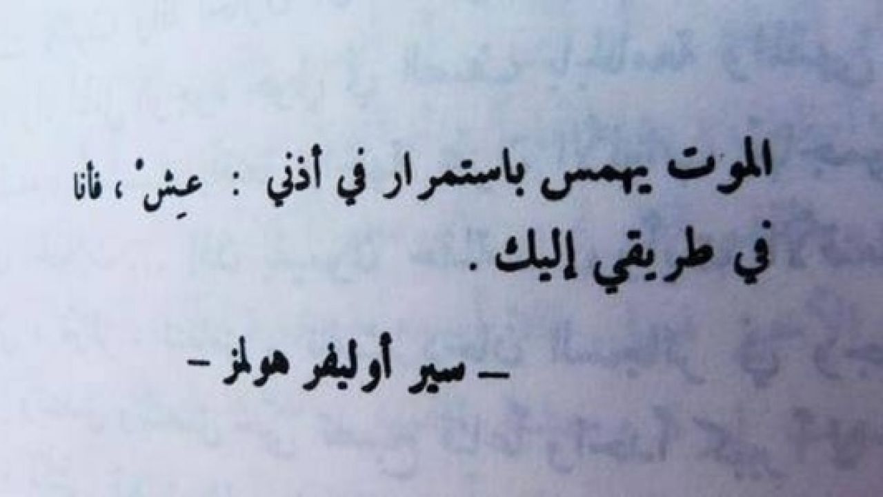 كلام في التواضع- من اروع ما جاء عن التواضع 6651 10