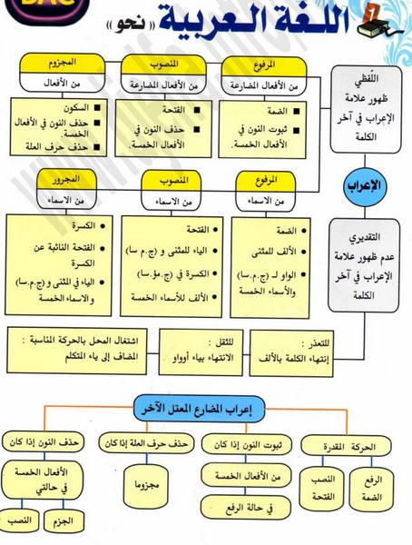 اهم قواعد اللغة العربية-افضل قاعده فى اللغات العربيات 1834 4