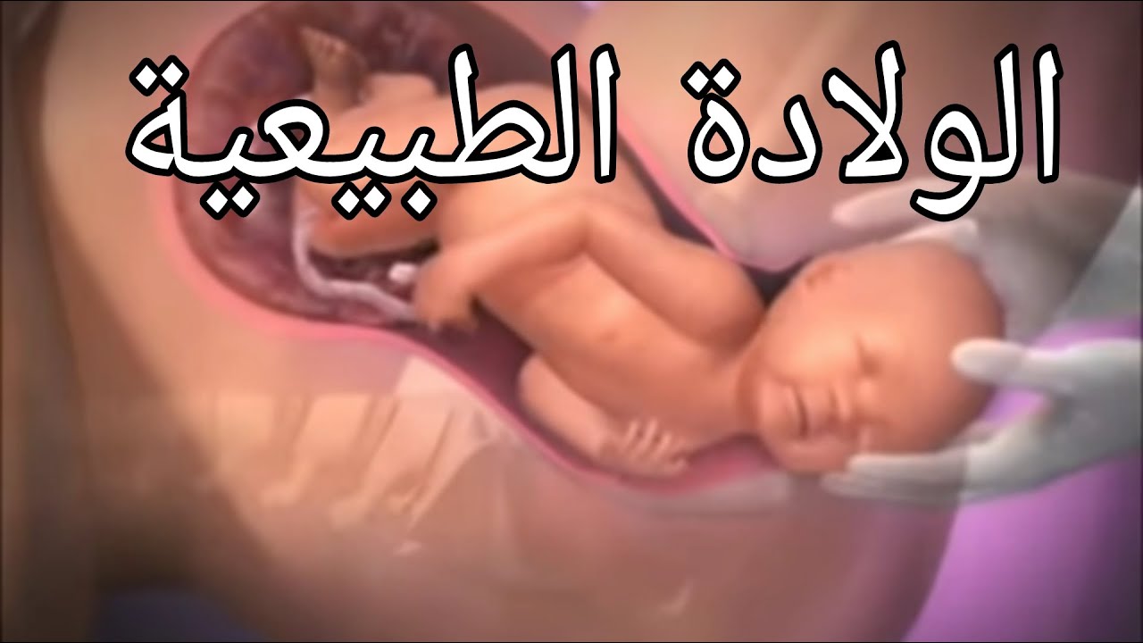 فيديو ولادة طبيعية- فيديوهات مختلفه جدا لحظه الولاده خطوه بخطوه 5739 8