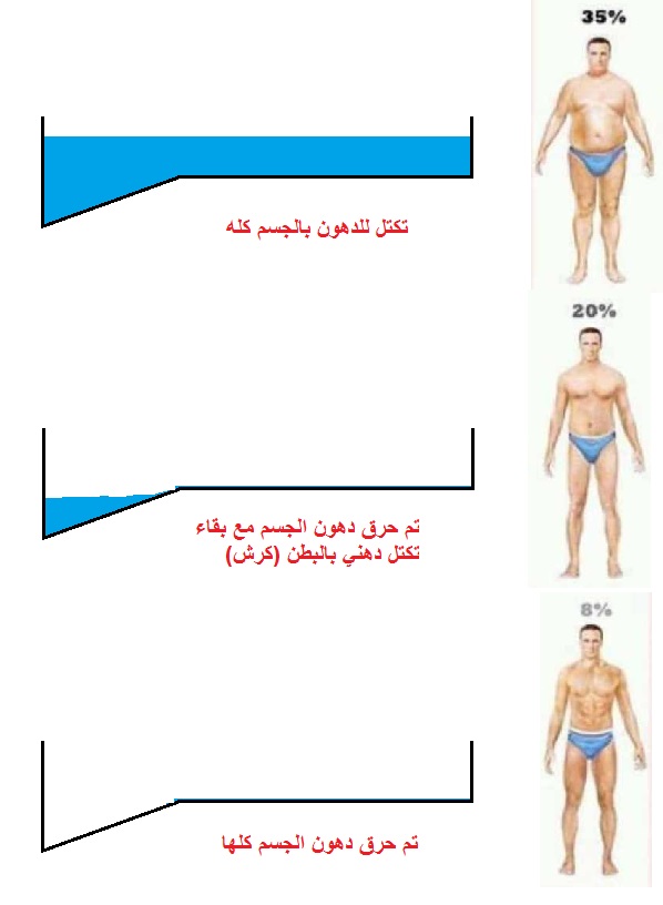 تمارين لحرق الدهون وشد الجسم - اتخلصى من دهونك بتمارين رياضيه 4499 7