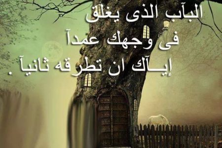 شعر عن الكرامة 6234 12