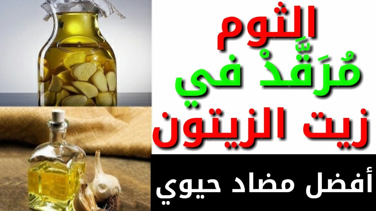 فوائد زيت الزيتون والثوم , الثوم والزيتون ومعجزه فى استخدامهم