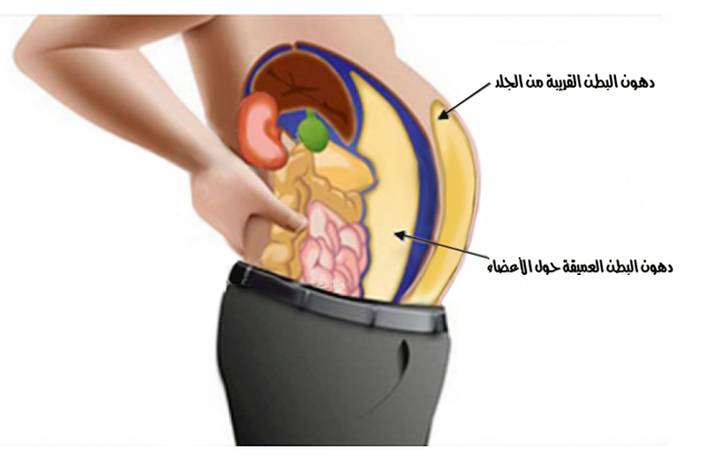 صور عن الكرش - اريد اشياء لتخسيس الكرش 2698 2