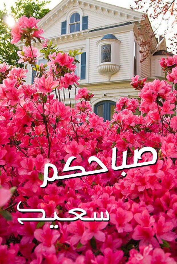 صور صباح الخير Hd - اجمل الكلمات 5182 9