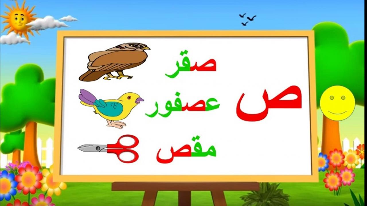 كلمات بحرف الصاد - كلمات عديده بحرف الصاد 4442 4