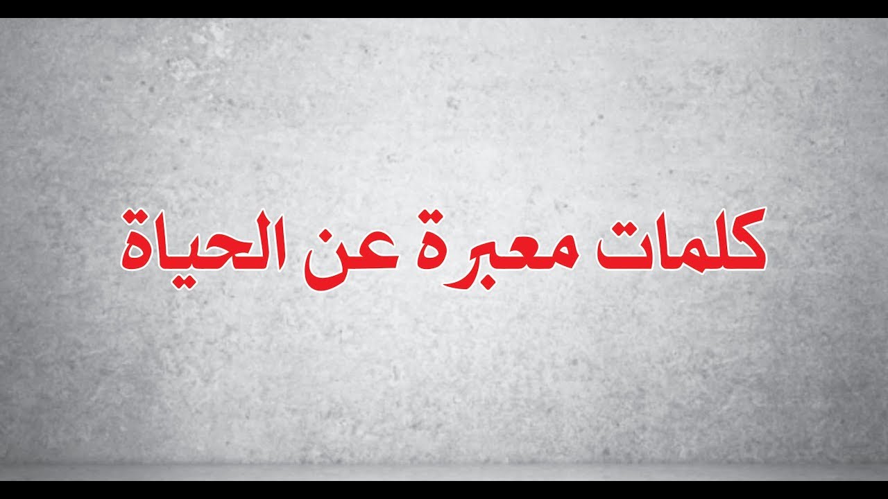 كلمة معبرة عن الحياة , يلا نشوف كلام عن الحيوات