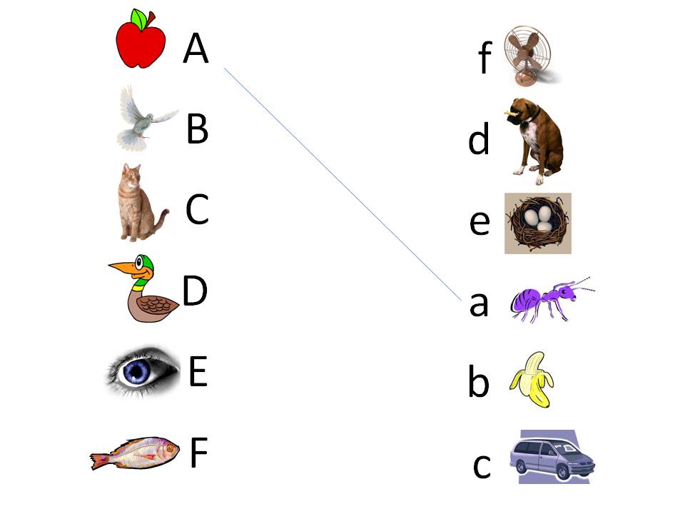 صور الحروف الانجليزيه - ترتيب الخروف الانجليزيه بالصور 4379