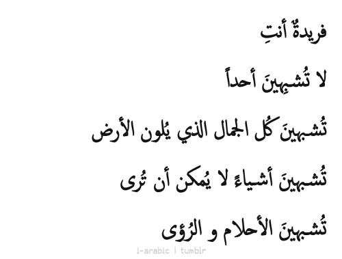 شعر ع البنات - قصائد عن جمال حواء ورقتها 173 11