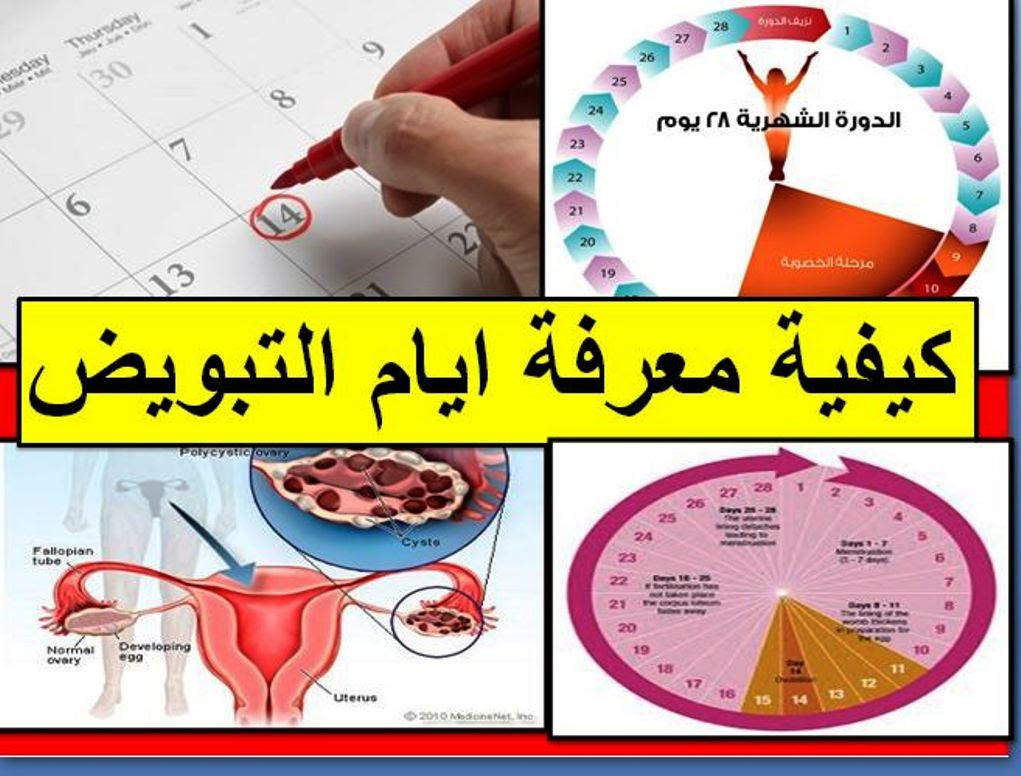 اعراض ايام التبويض للحمل- هاقولك على اهم الاعراض عشان تتاكدي من الحمل 6083 1