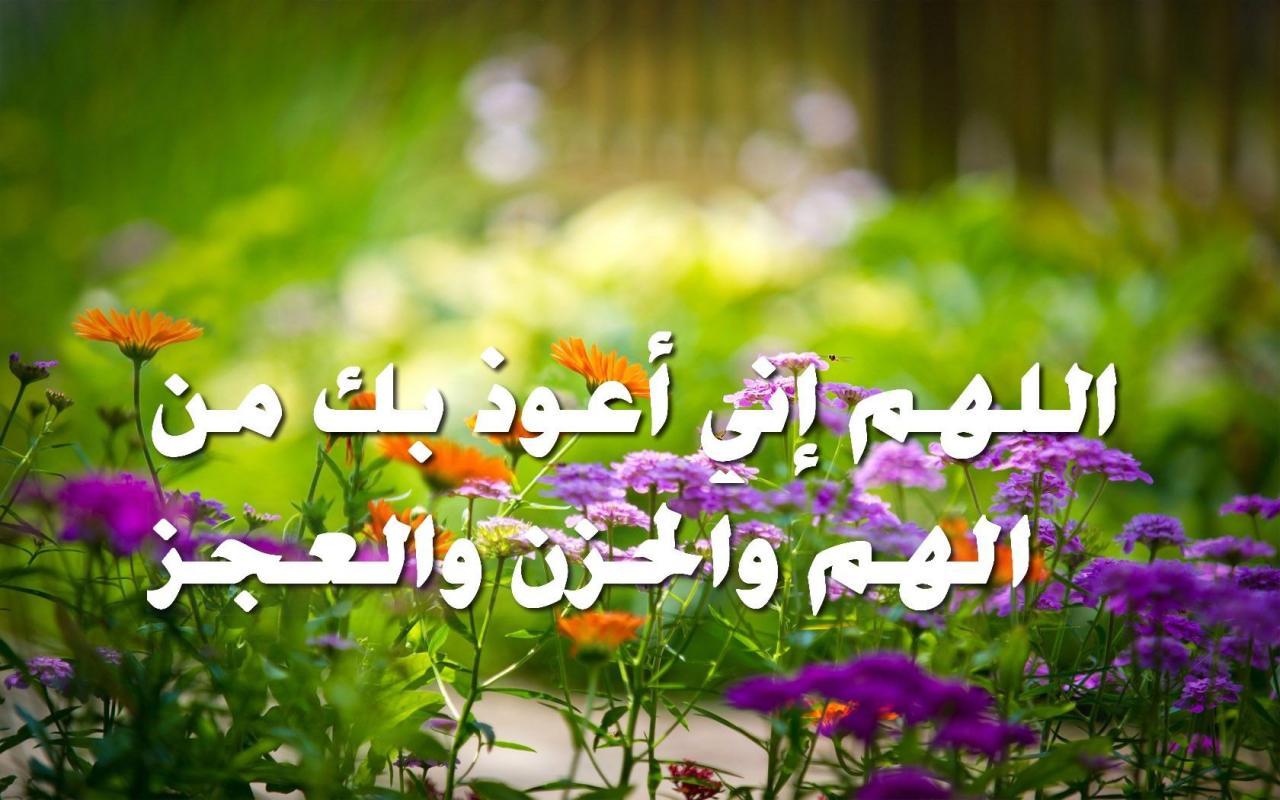 صور دينيه صور - ما اجمل الصور الدينيه 2959 2