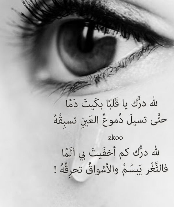 شعر عن العيون 6261 2