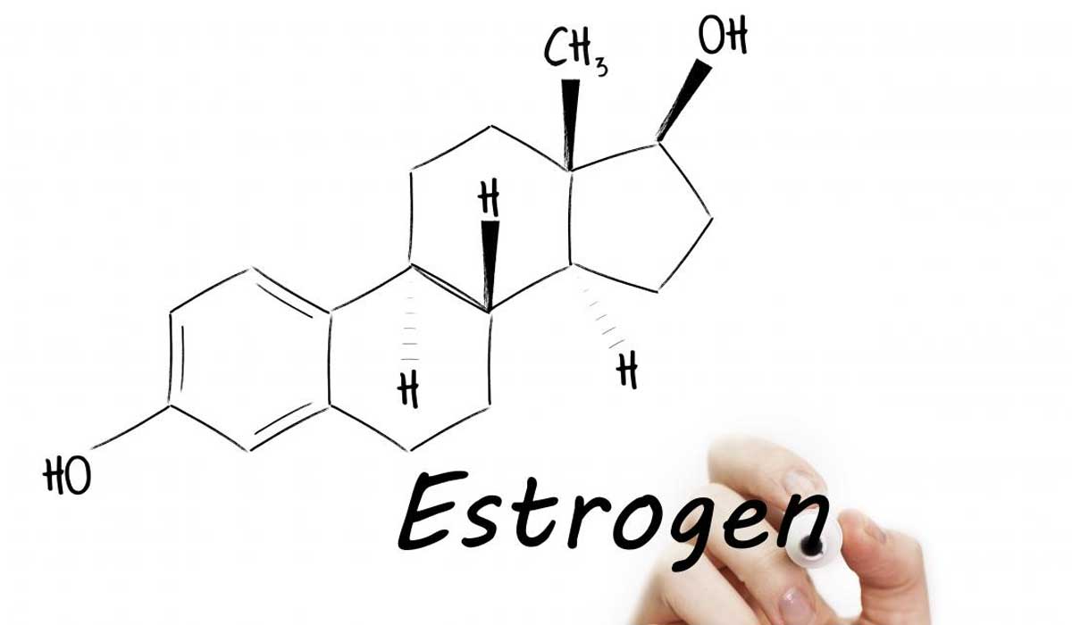 ما هو هرمون الاستروجين - اعراض نقص وزيادة هرمون الانوثة 3704 3
