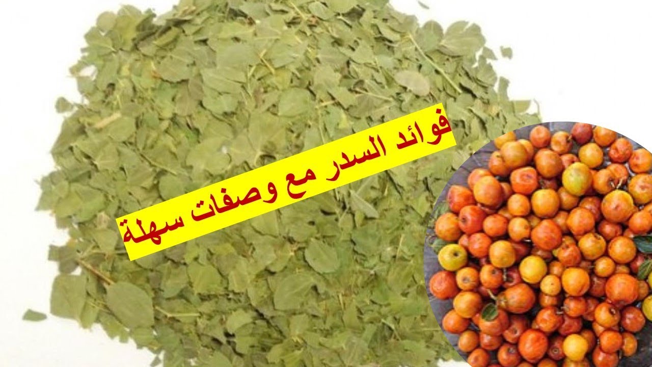 فوائد شرب السدر - ما تاثير مشروب السدر على جسم الانسان 4308 2