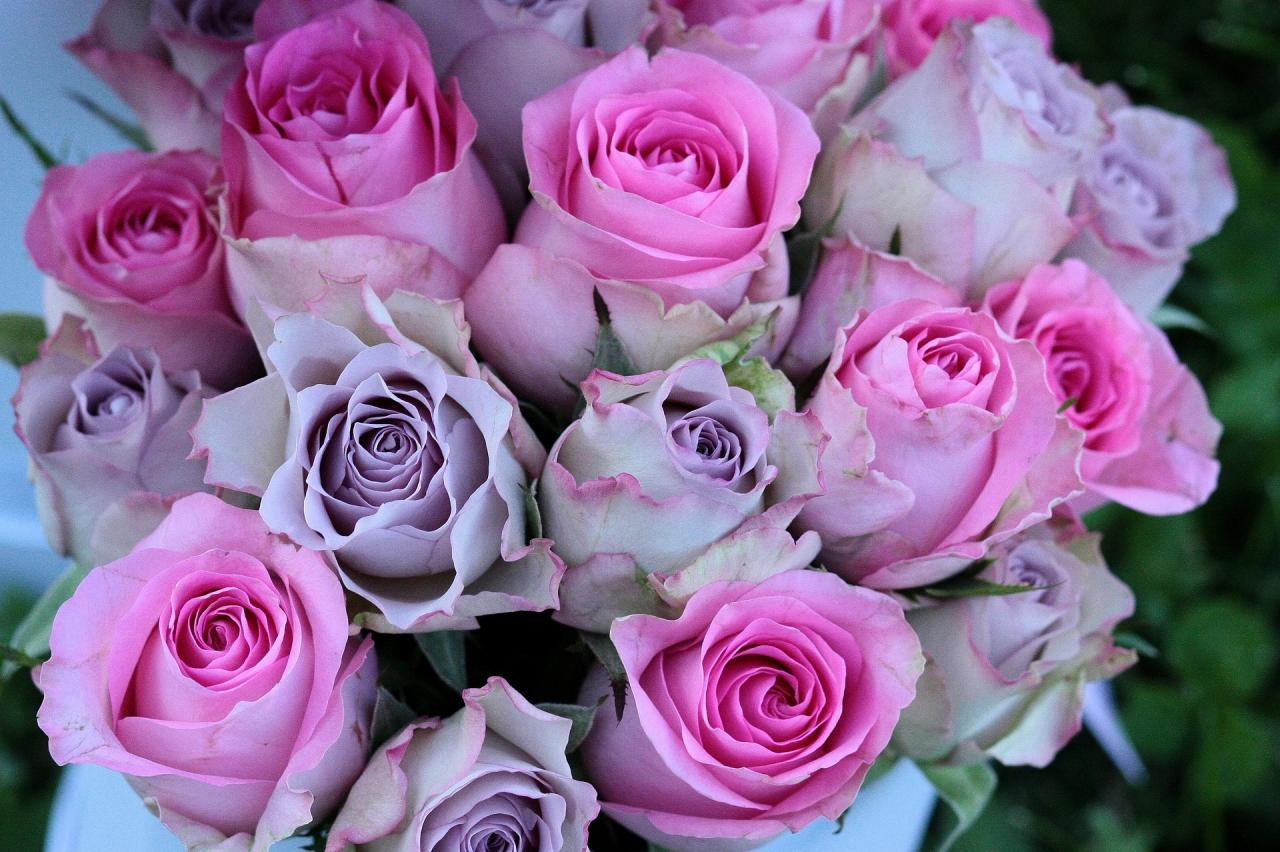 اجمل الجميل الموف الورد باقة بوكيه من موف ورد