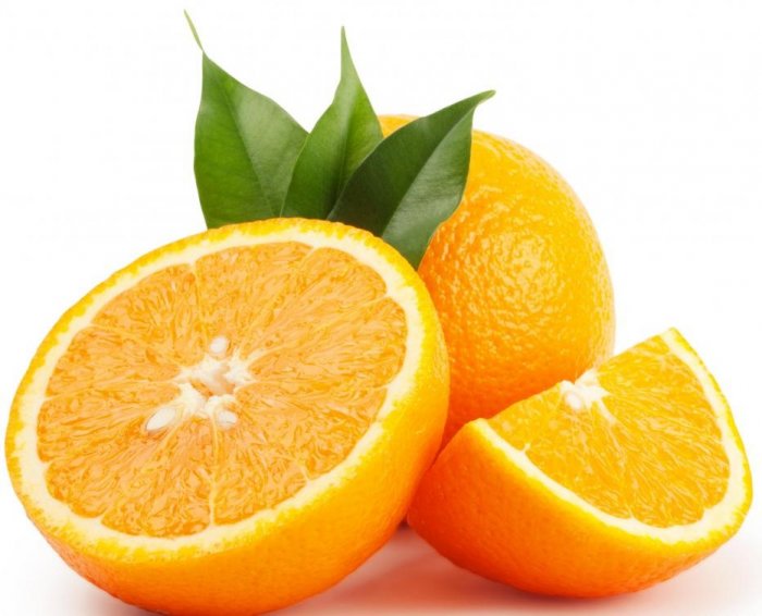 البرتقال الحلم المنام تفسير رؤيه شجرة في