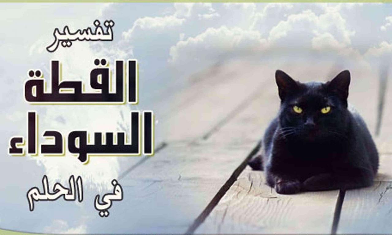 ابشروا الاحلام الحلم السوداء القطة اهل تفسير حظ سعيد سوداء قطة