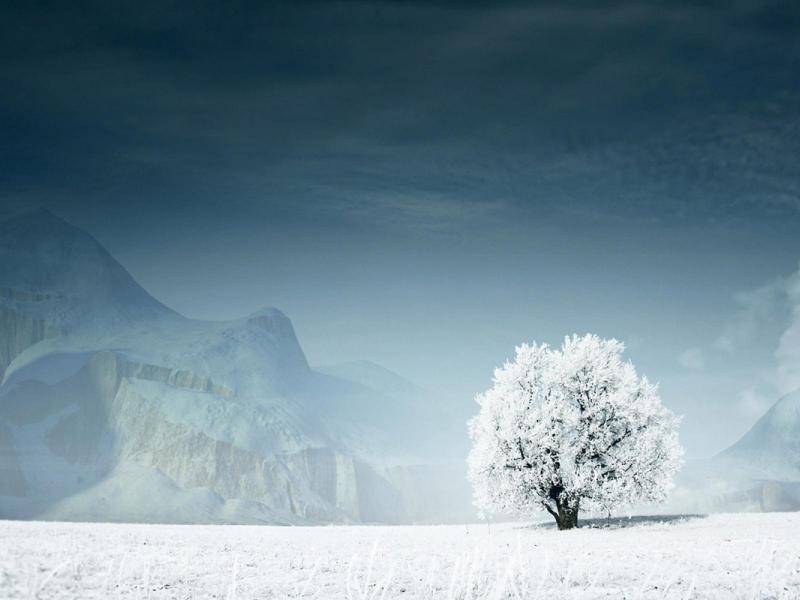 اجمل الرائع الشتاء خلفيات صور لفصل