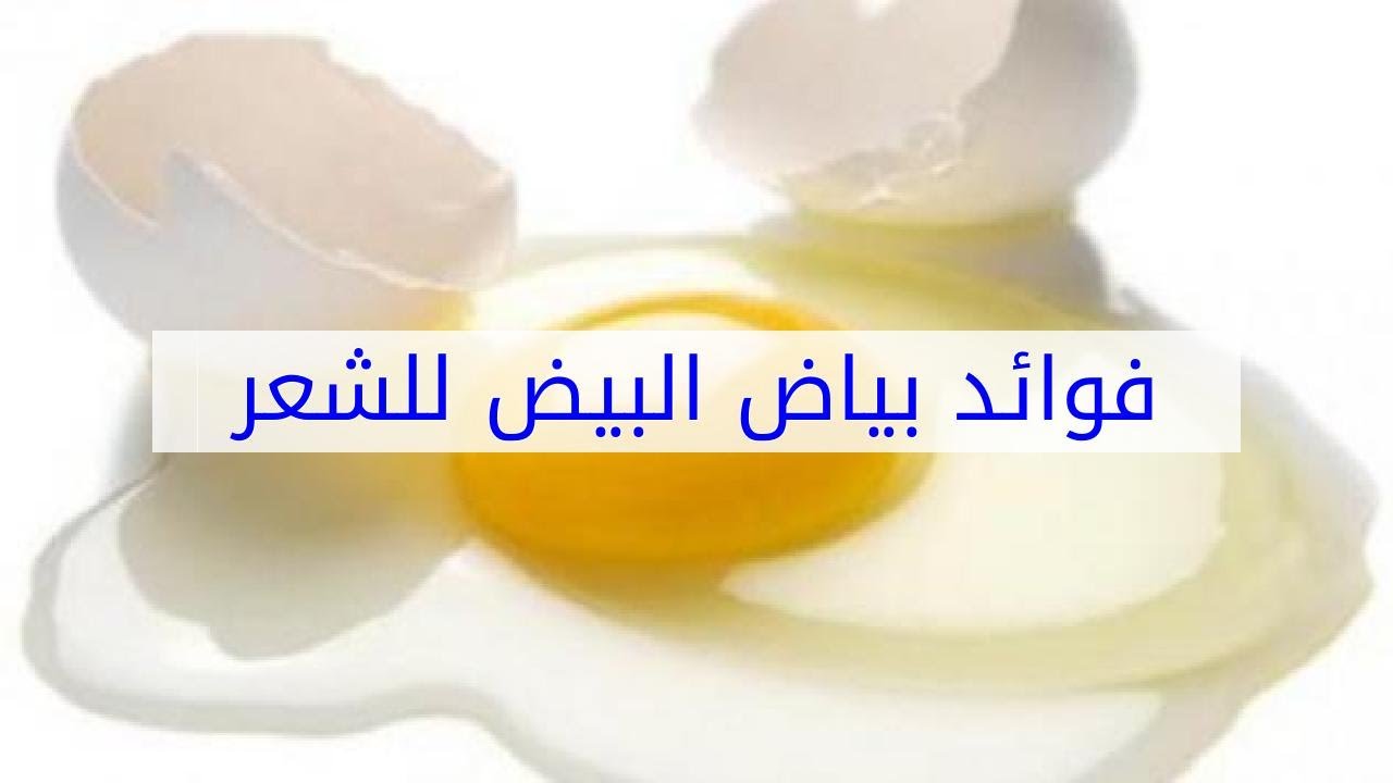 البيض بياض فائده للشعر