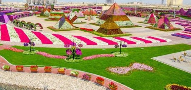 اجمل الجمال الورود حديقة دبي صورة علي في لحديقه للزهور ياااه
