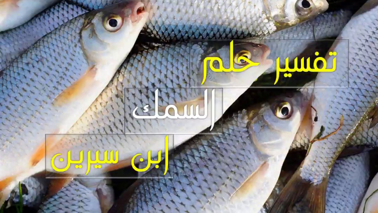 السمك المنام تفسير حسب شكله علي في