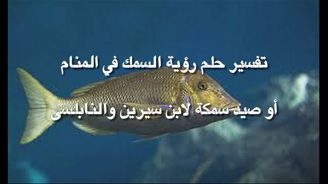 السمك المنام تفسير حسب شكله علي في