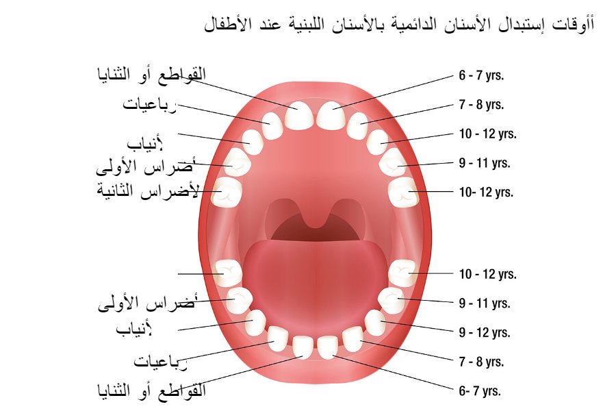 اعراض الاسنان الاضراس الاطفال المواليد طلوع ظهور عند