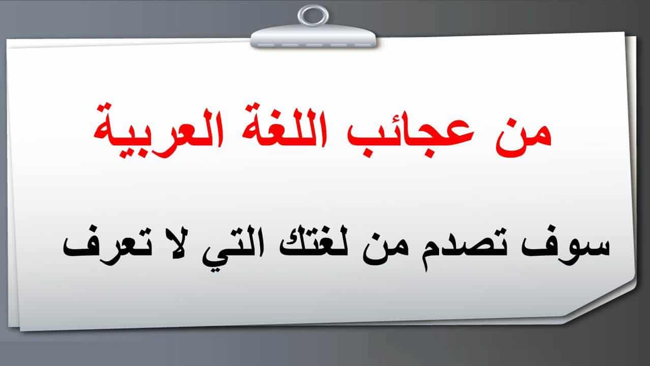 اجمل العربية اللغة جميل عن في قيل كلام