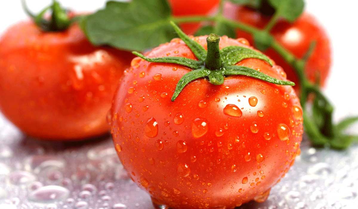 الطماطم بالفريزر تخزين طريقة طويلة لحفظ لمدة نصائح