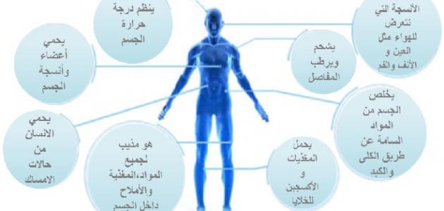 شدة تاثر الجسم بمواد معينة - اكثر الاشياء التي لا يتحملها الجسم 5365 3