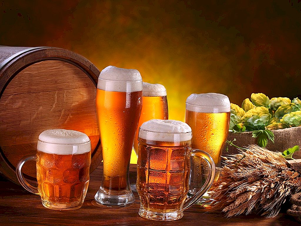 البيرة البيره حكم شرب