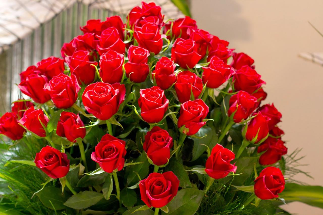 اجمل احمر الحمراء الرومانسيه الورود جميل صور والمعبره ورد