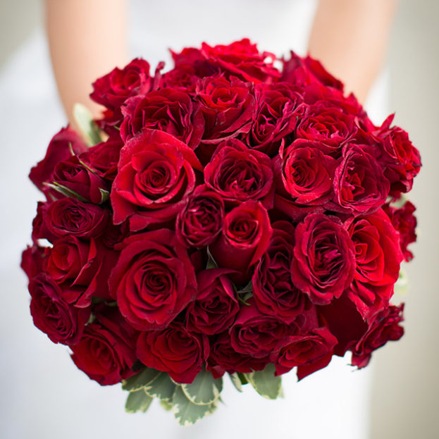 اجمل احمر الحمراء الرومانسيه الورود جميل صور والمعبره ورد