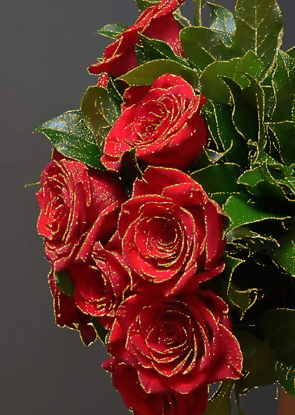 ارقي الورود صور متحركة من ورد
