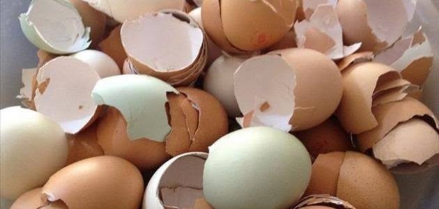 البيض تعرف عليها فائدة فوائد قشر كثيرة لقشر