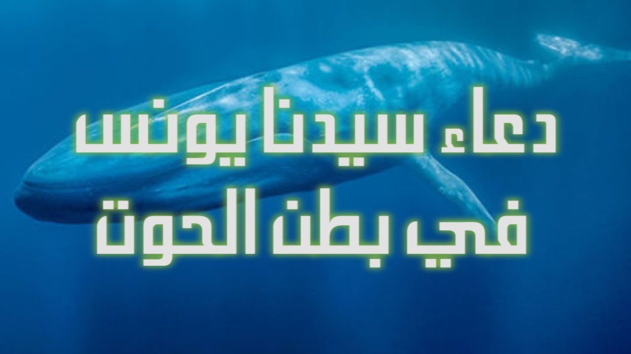 الحوت السلام بطن سيدنا عليه في قصه كم لبث يونس