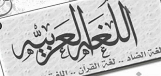 العربية اللغة تعبير عن فخامة موضوع