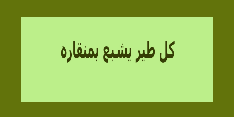 امثال عراقية مشهورة