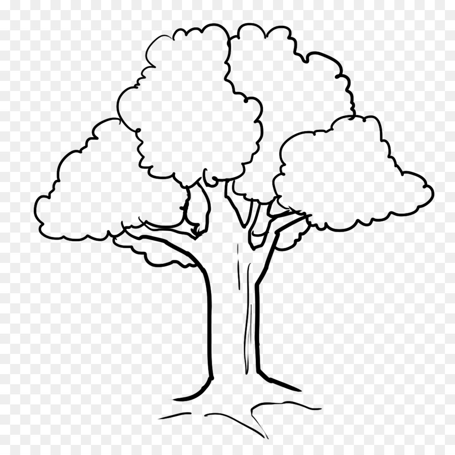 افضل الرسومات بالرصاص رسم شجرة للاشجار